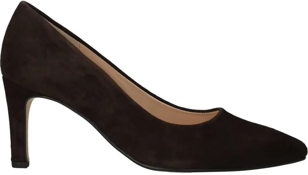 Gabor Pumps