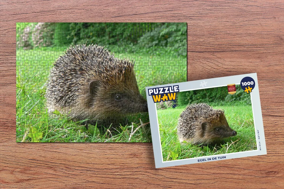 PuzzleWow Legpuzzel Egel in de tuin 1000 Stuks - Multicolor