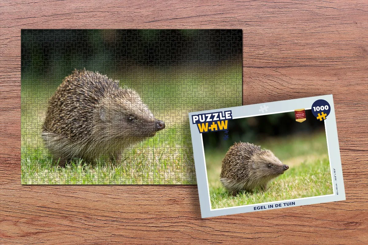 PuzzleWow Legpuzzel Egel in de tuin 1000 Stuks - Multicolor