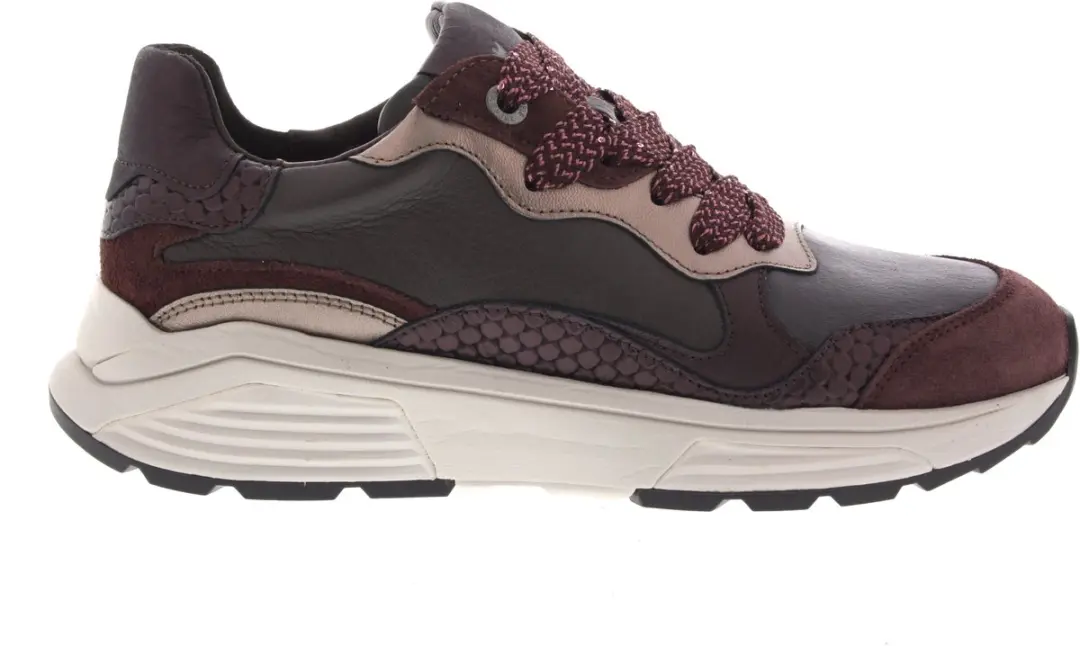 Dames Veterschoenen Xsensible Rainbow Combi Gx Bordeaux
