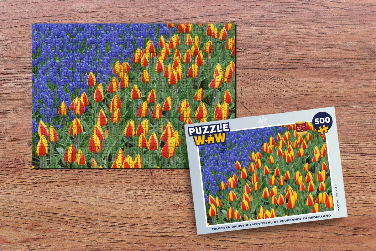 PuzzleWow Legpuzzel Tulpen en druivenhyacinten Keukenhof 500 Stuks - Multicolor