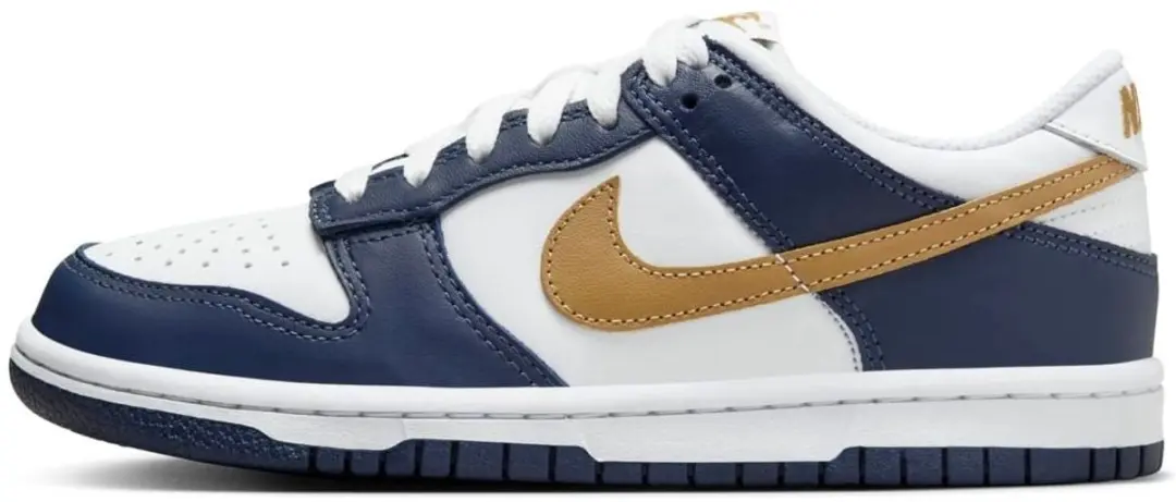 Nike Dunk Low (GS)