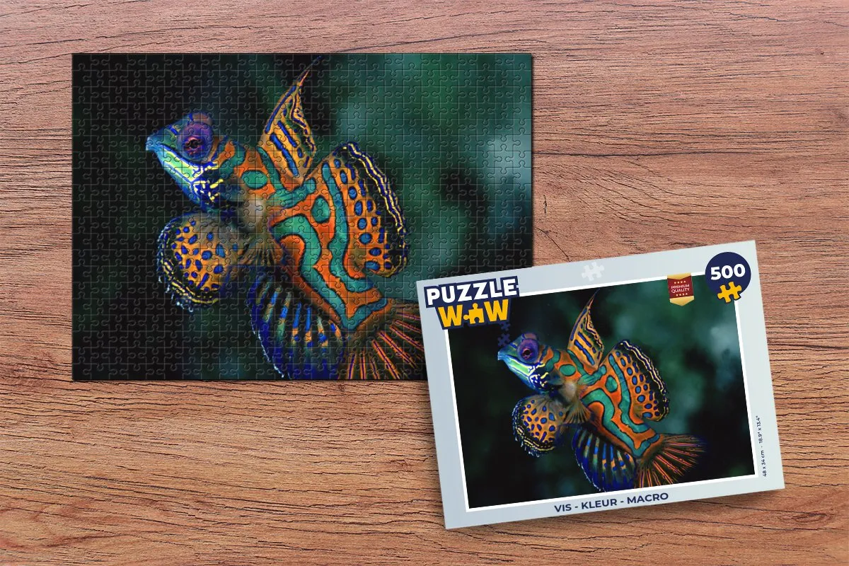 PuzzleWow Vis Macro Legpuzzel 500 Stuks - Multicolor