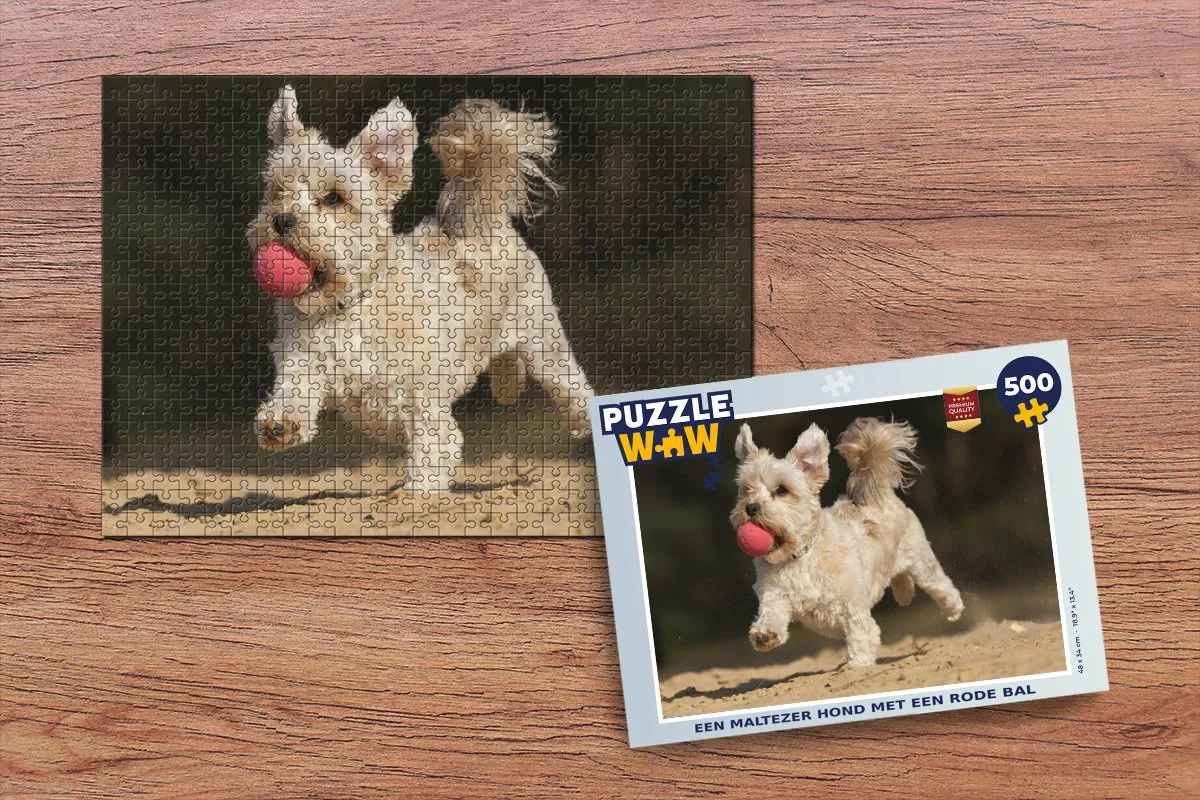 PuzzleWow Legpuzzel Maltezer Hond met Rode Bal 500 Stuks - Multicolor