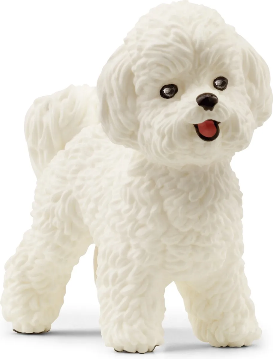 Schleich FARM WORLD Bichon Frisé 13963