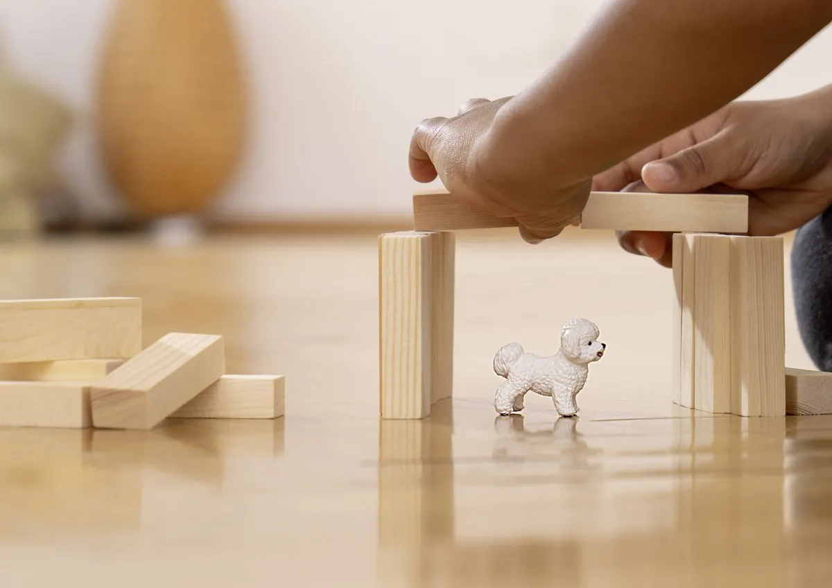 Schleich FARM WORLD Bichon Frisé 13963