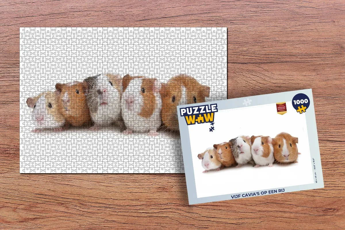 PuzzleWow Vijf cavia's op een rij Legpuzzel 1000 Stuks - Multicolor