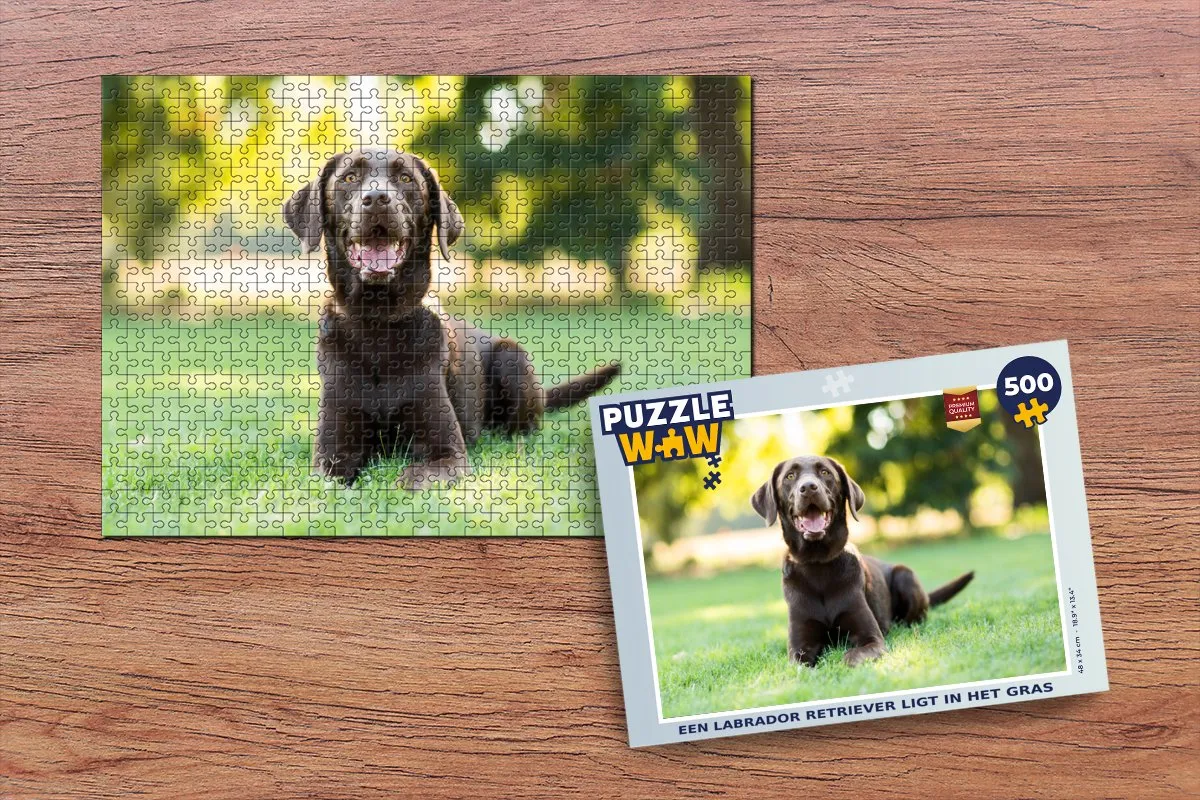 PuzzleWow Labrador Retriever Legpuzzel 500 Stuks - Multicolor