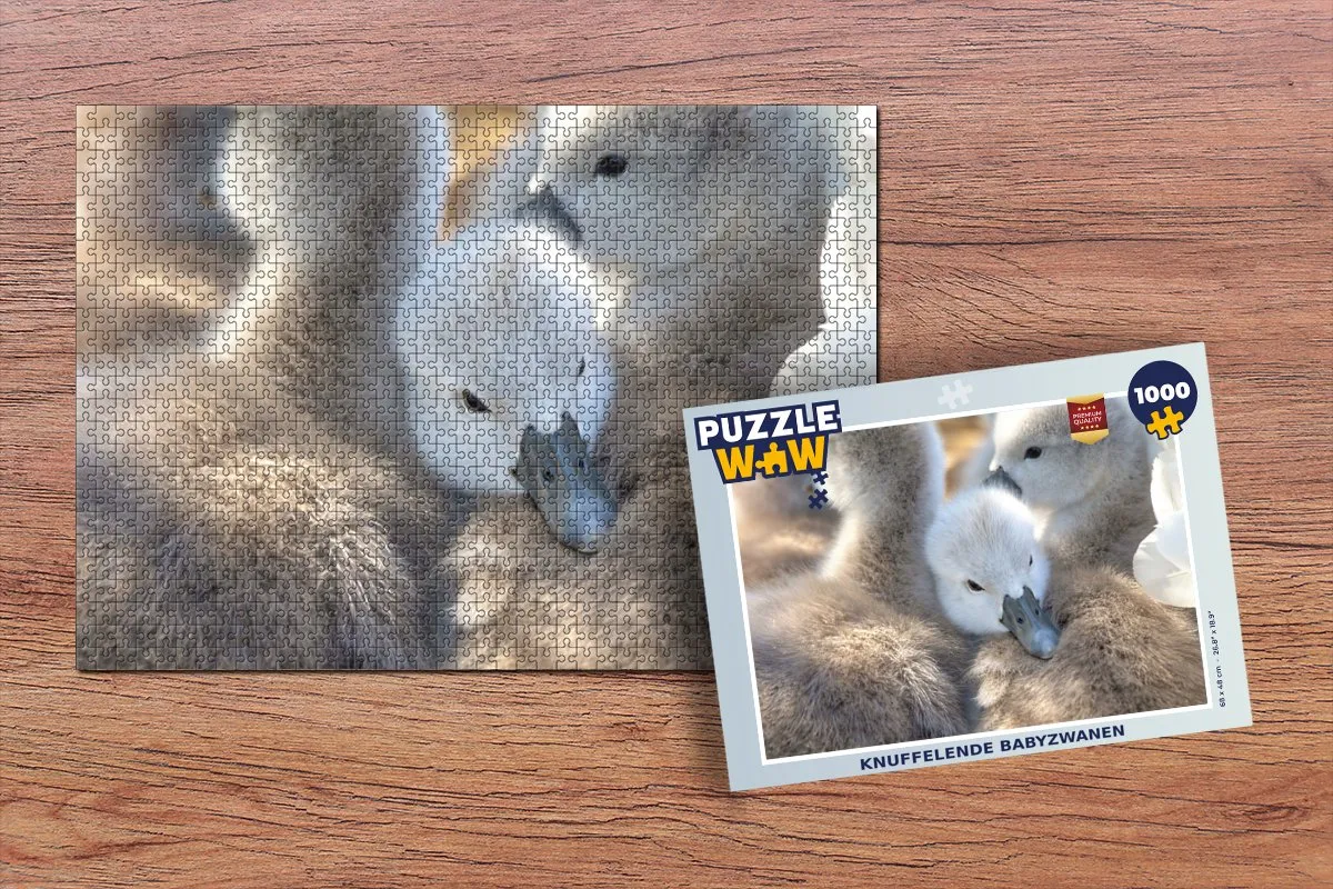 PuzzleWow Zwanen Legpuzzel 1000 Stuks - Multicolor