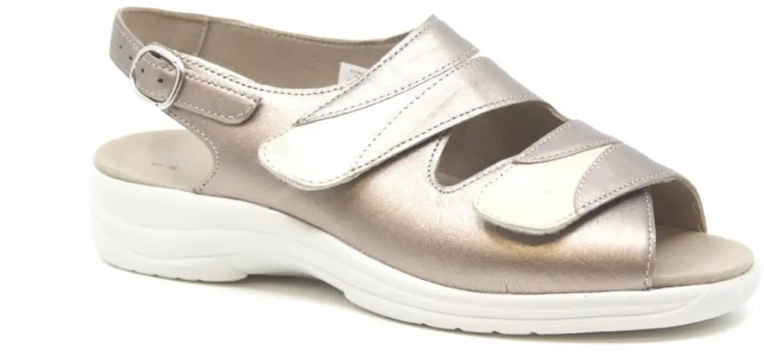 Solidus 74019