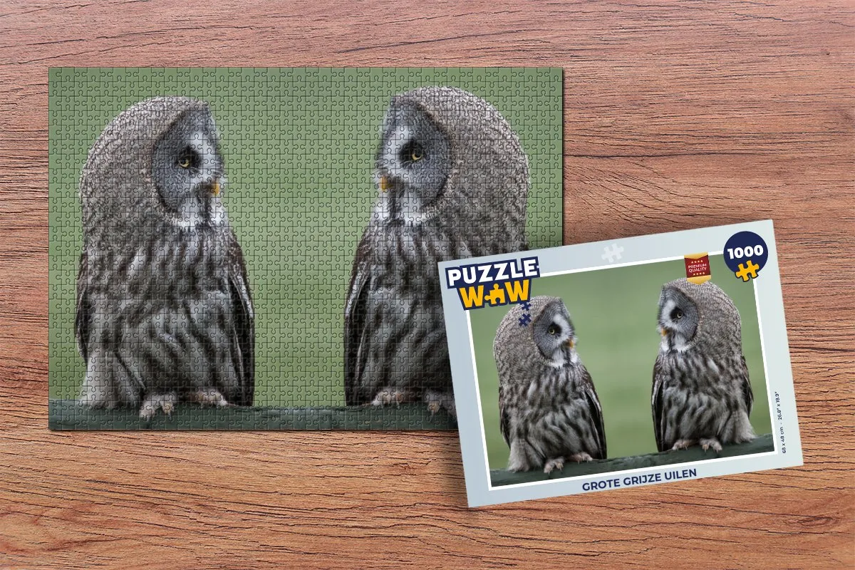PuzzleWow Legpuzzel 1000 Stuks - Multicolor