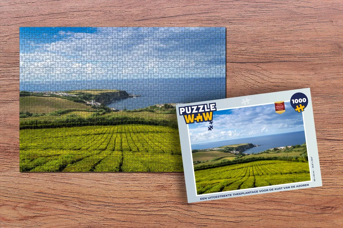 PuzzleWow Legpuzzel 1000 Stuks