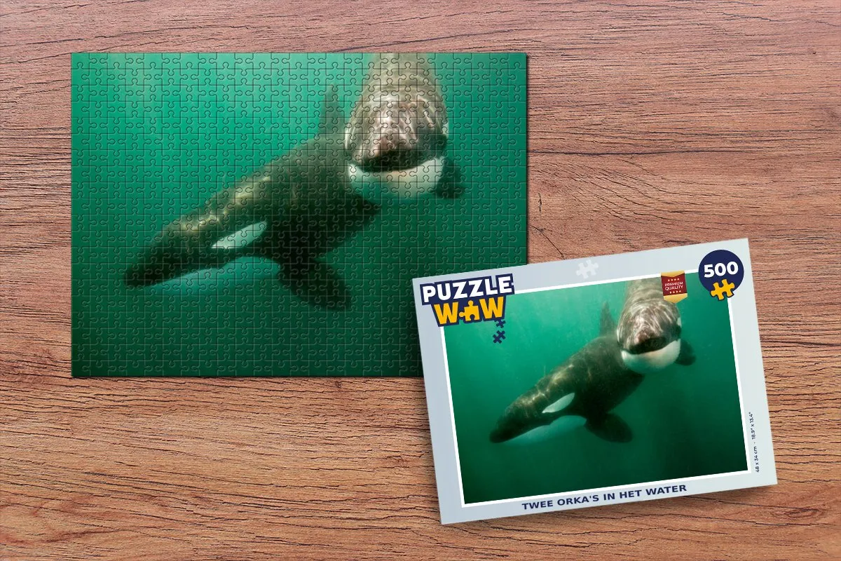 PuzzleWow Legpuzzel Twee orka's in het water 500 Stuks - Multicolor