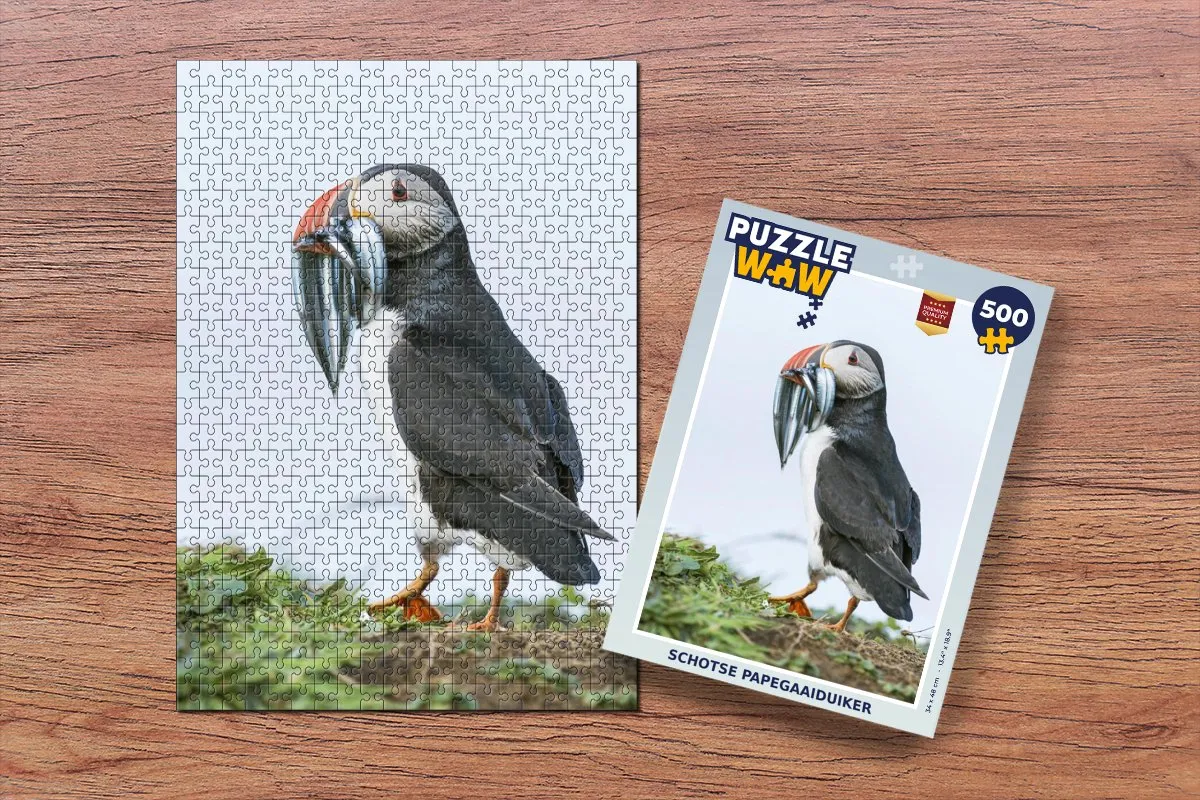 PuzzleWow Schotse papegaaiduiker Legpuzzel 500 Stuks - Multicolor