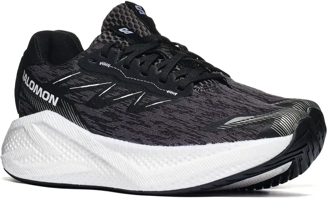Sportieve Salomon AERO GLIDE 4 W 40 Dames