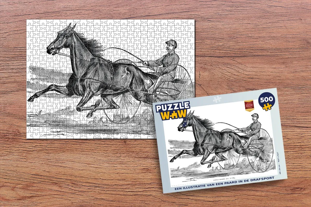 PuzzleWow Legpuzzel Paard Drafsport 500 Stuks - Multicolor