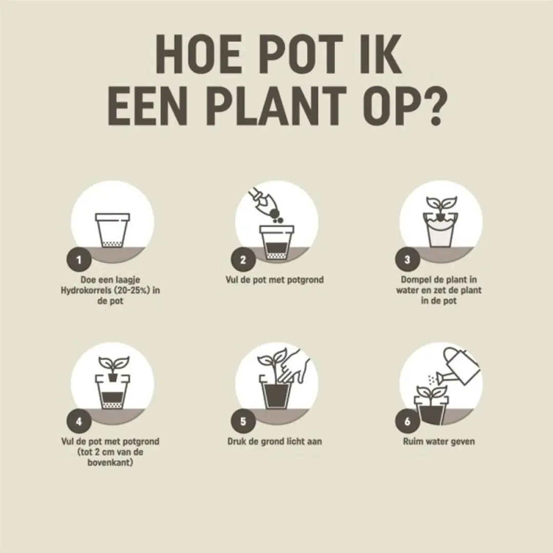 Pokon Bio Bonsai Potgrond 5L - afbeelding 3 van 5