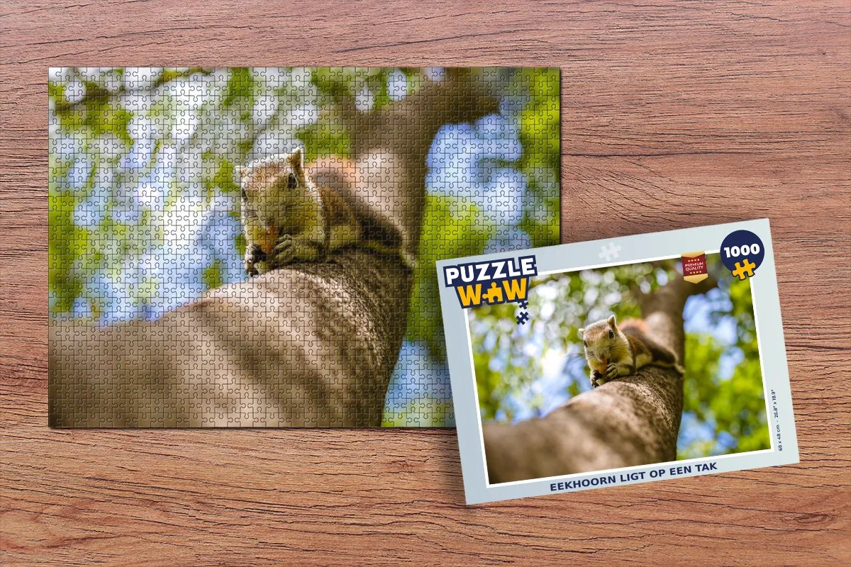 PuzzleWow Legpuzzel 1000 Stuks - Multicolor