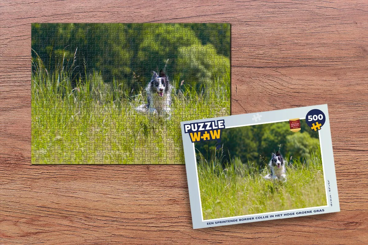 PuzzleWow Legpuzzel Een Sprintende Border Collie 500 Stuks
