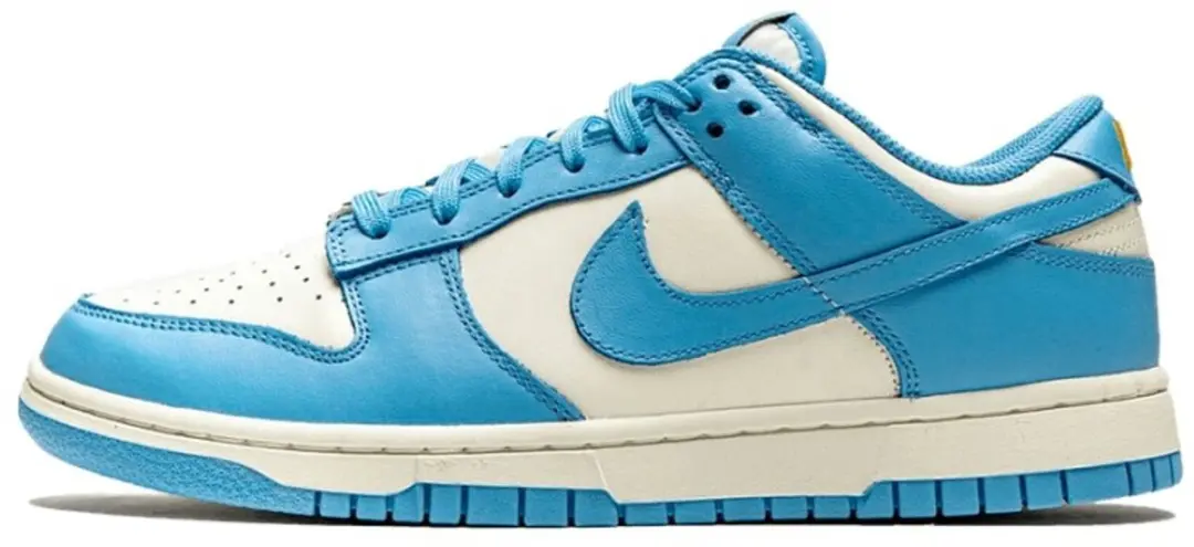 Nike Dunk Low Coast (Women's)