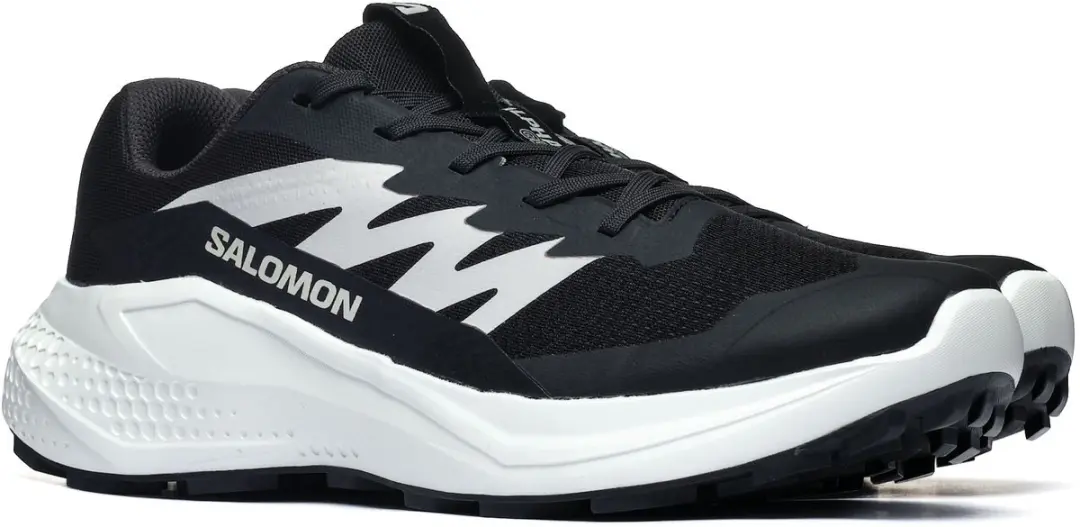 Trekking Salomon ALPHAGLIDE 43 1/3 Heren