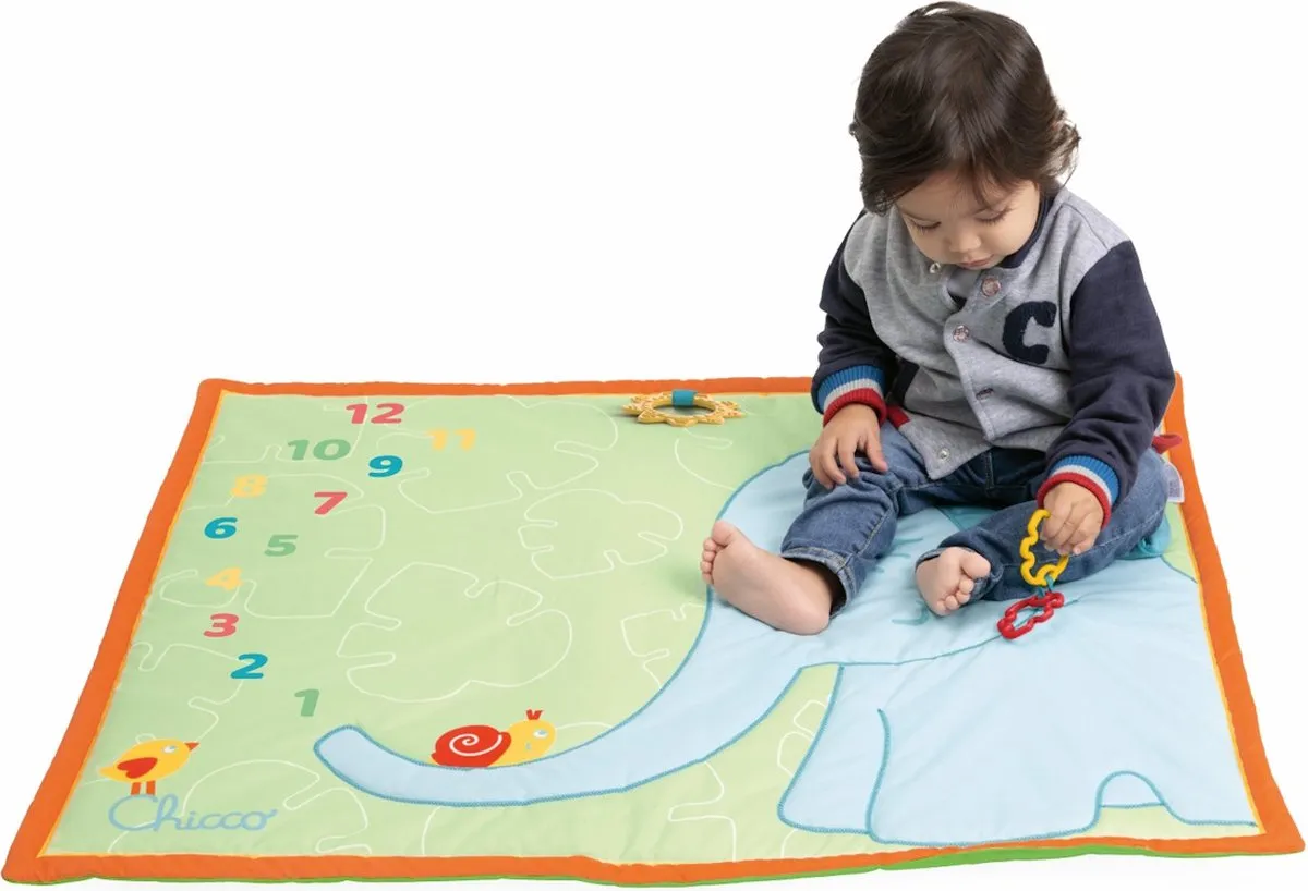 Chicco ECO+ Picture Milestone Speelkleed - Meerkleurig - afbeelding 6 van 6