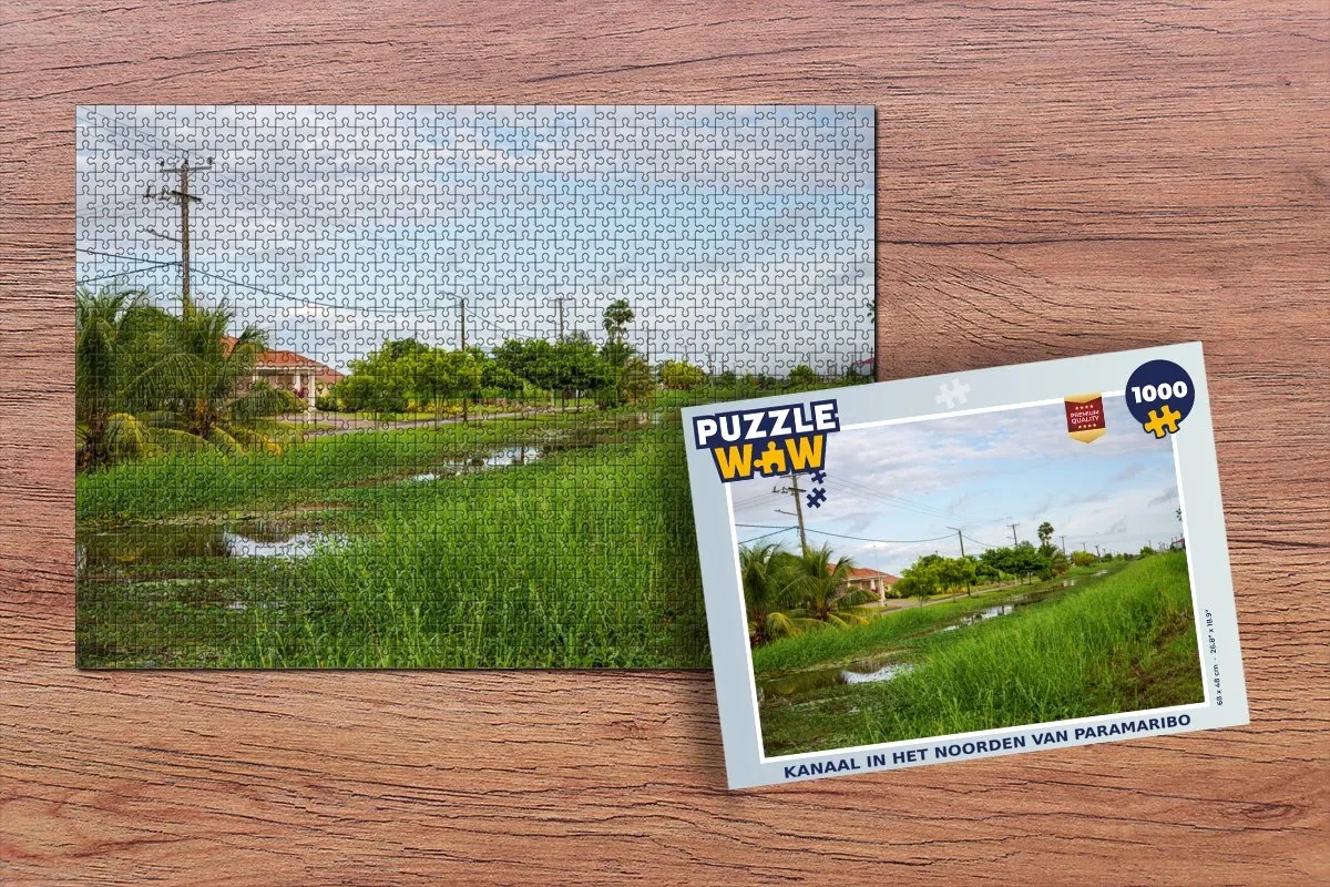 PuzzleWow Paramaribo Legpuzzel 1000 Stuks - Multicolor