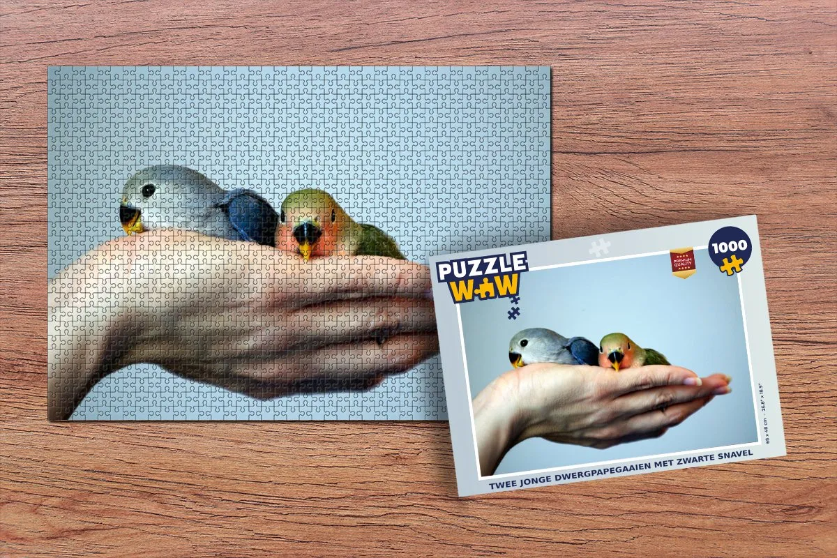 PuzzleWow Legpuzzel 1000 Stuks
