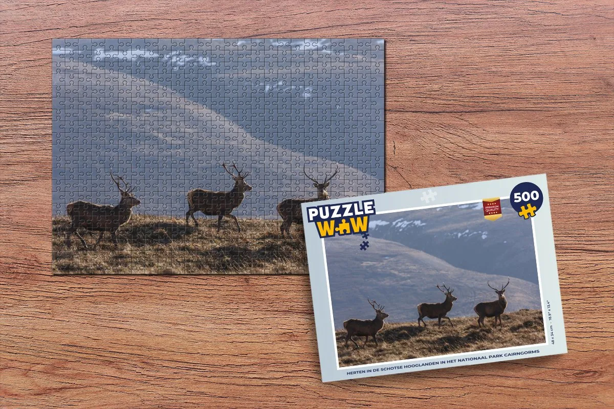 PuzzleWow Legpuzzel Herten Schotse Hooglanden 500 Stuks - Multicolor