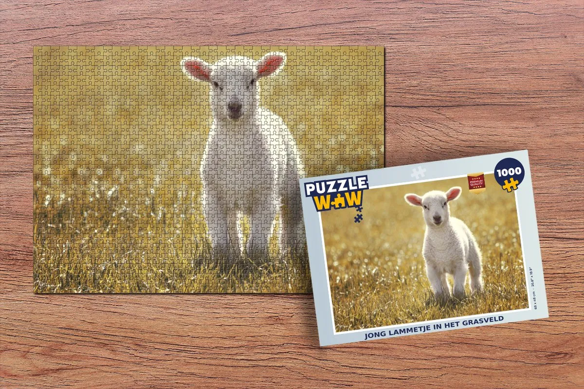 PuzzleWow Legpuzzel Schaap - Gras - Zon 1000 Stuks - Multicolor