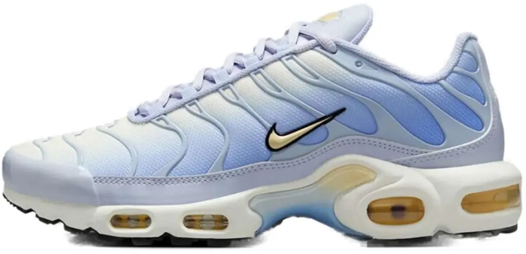 Nike Air Max Plus Daybreak (Maat 42 / US 10)