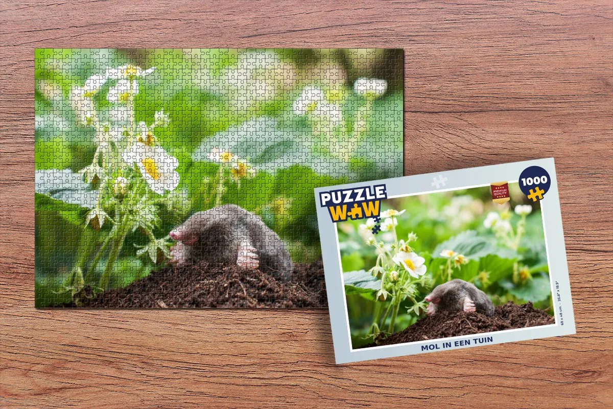 PuzzleWow Mol Legpuzzel 1000 Stuks - Multicolor