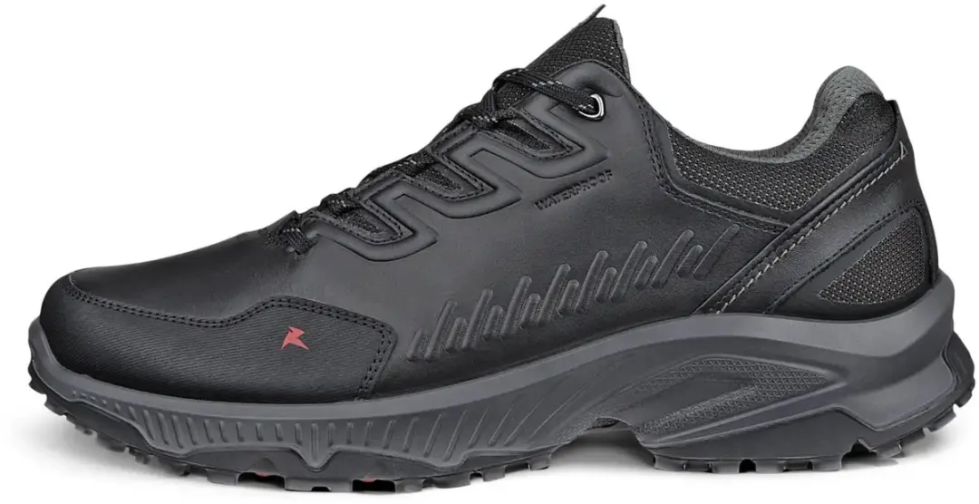 Baskets Ecco Receptor XP