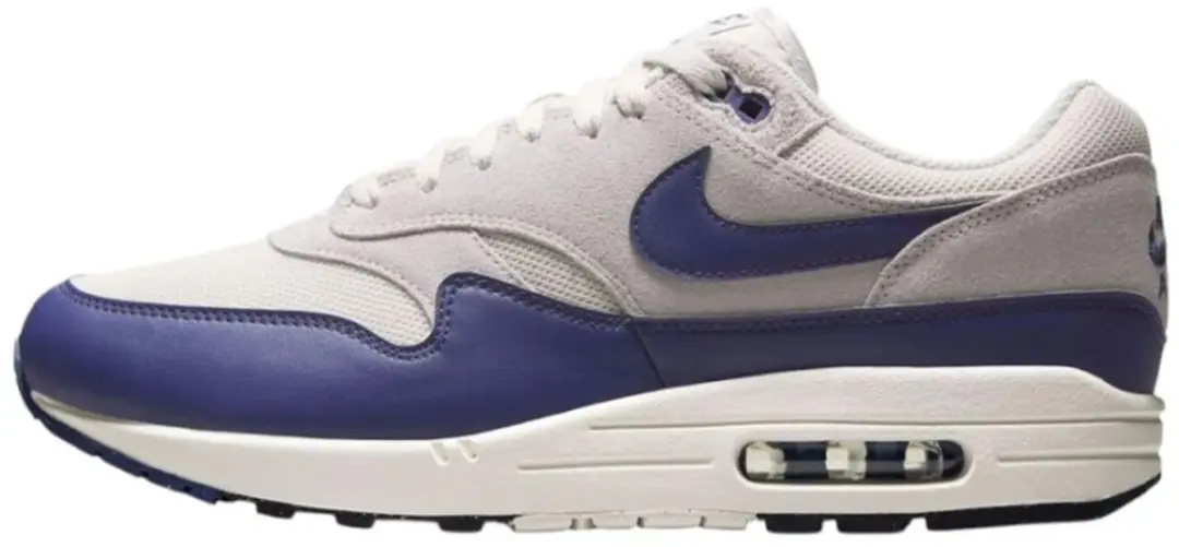 Nike Air Max 1 Essential (Sanded Purple)
