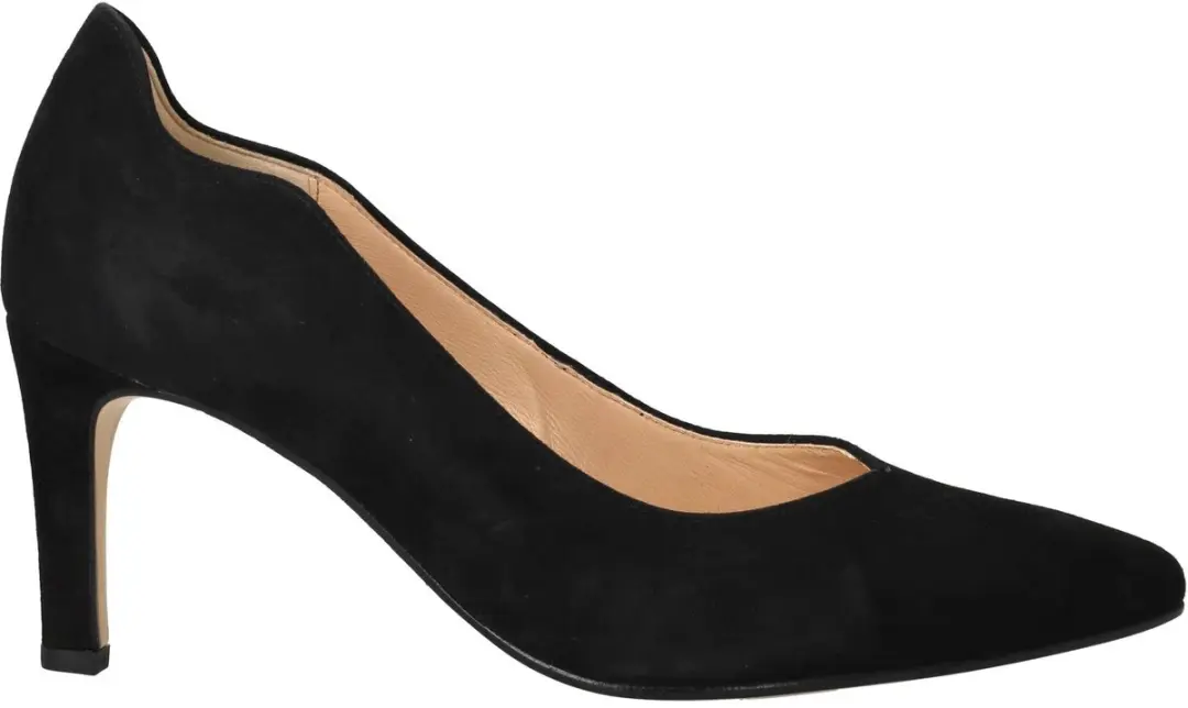 Gabor Pumps