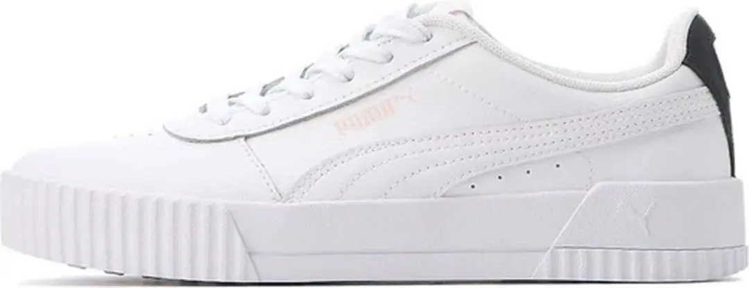 Puma Carina L