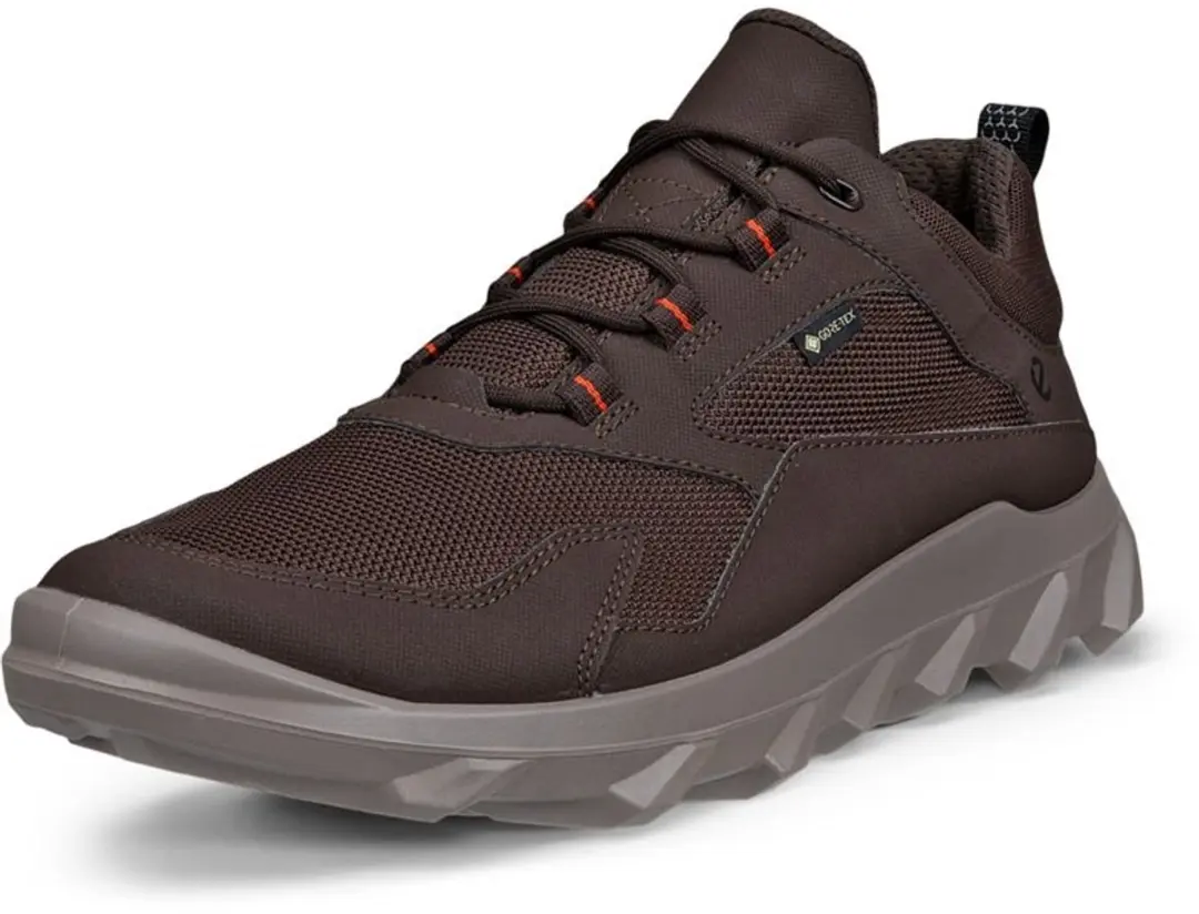 Ecoo-art-820194-58500-veterschoen-bruin-heren-goretex