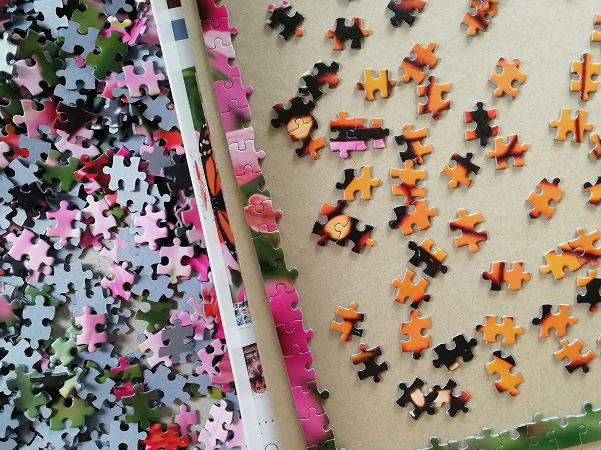 Tactic Monarch Butterfly Puzzel 1000 Stukjes - Bont