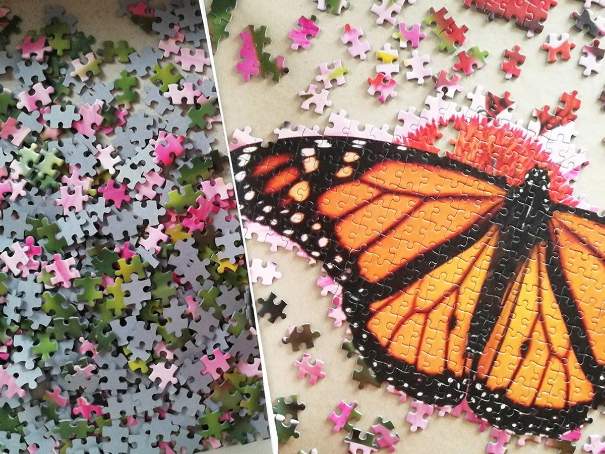 Tactic Monarch Butterfly Puzzel 1000 Stukjes - Bont