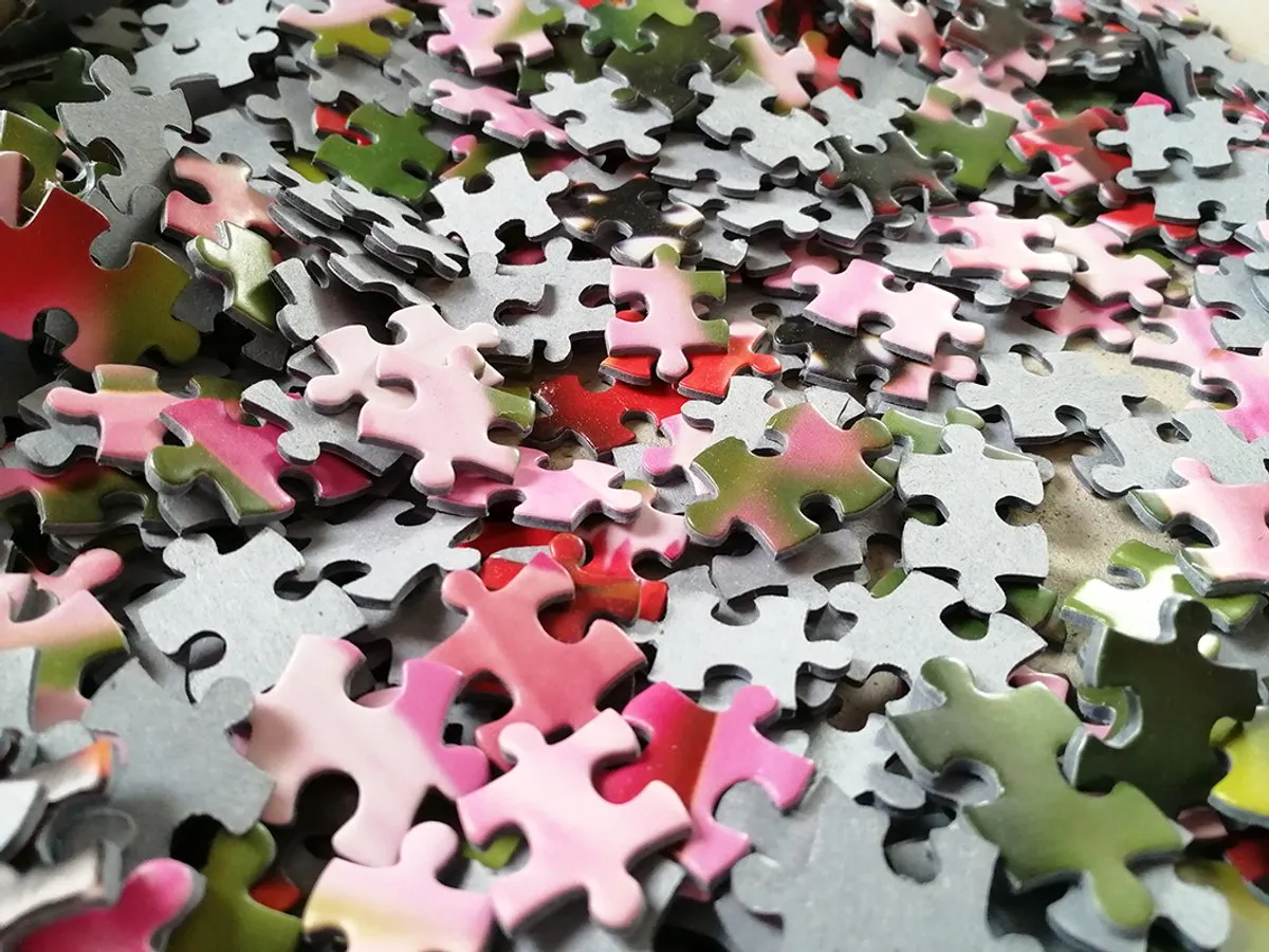 Tactic Monarch Butterfly Puzzel 1000 Stukjes - Bont