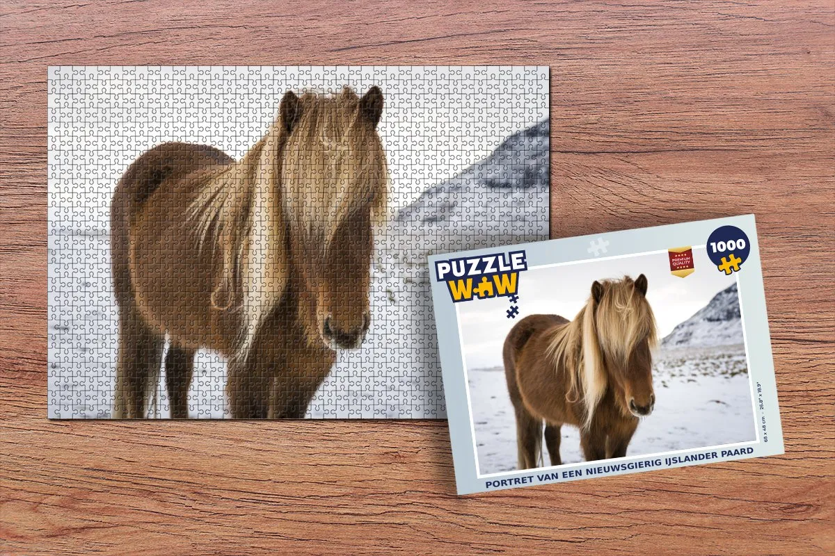 PuzzleWow Portret IJslander Paard Legpuzzel 1000 Stuks - Multicolor