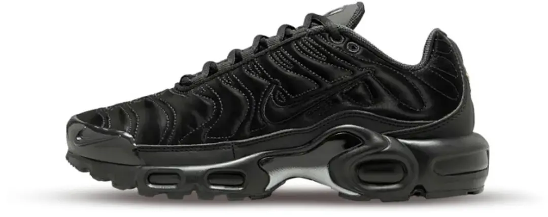 NIKE WMNS NIKE AIR MAX PLUS FV1169-001 Nike Dames Sneakers Grijs