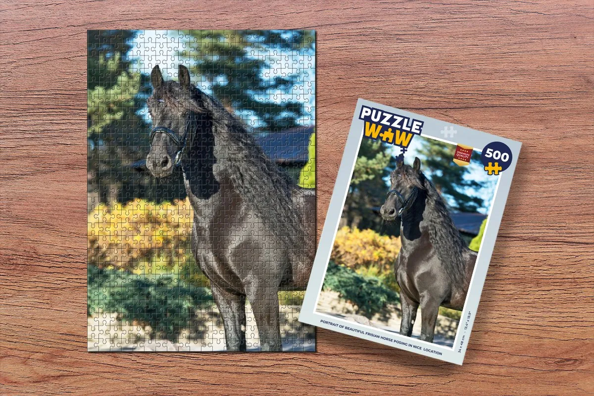 PuzzleWow Zon Fries Paard Legpuzzel 500 Stuks - Multicolor