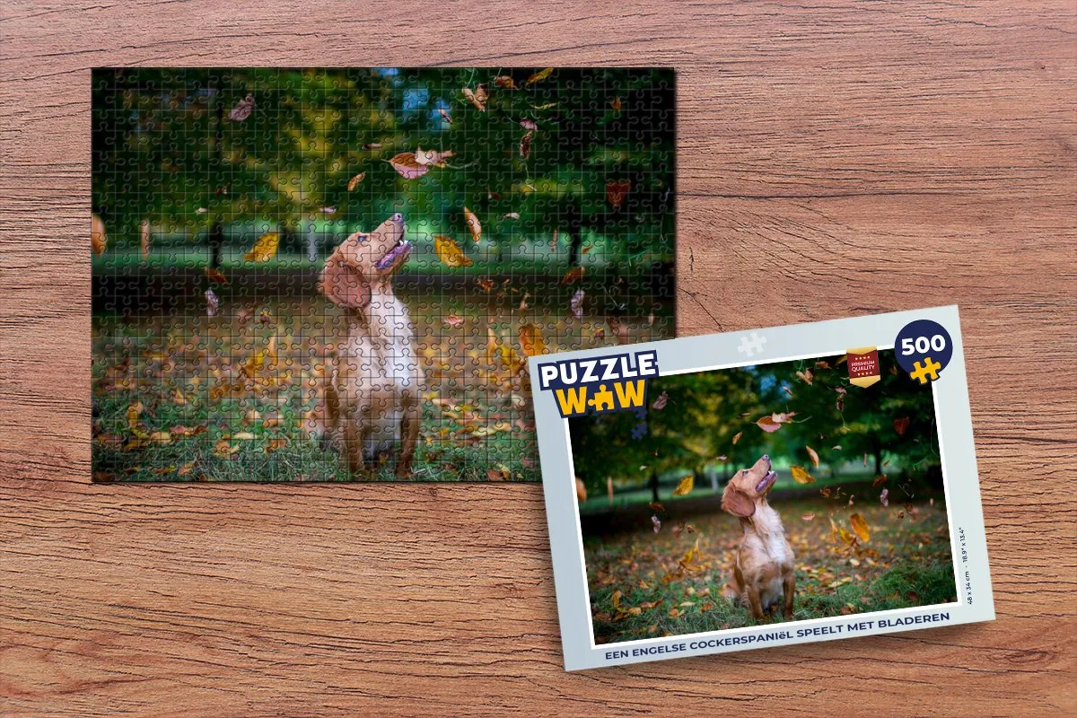 PuzzleWow Legpuzzel Een Engelse Cockerspaniëel 500 Stuks - Multicolor