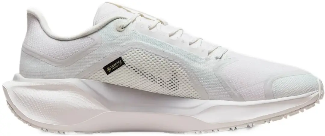 AIR ZM PEGASUS 41 GTX FQ1356-101 NIKE Air Zoom Pegasus 41 GTX Heren Sneakers