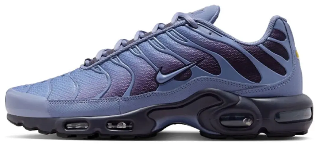 Nike Air Max Plus World Indigo