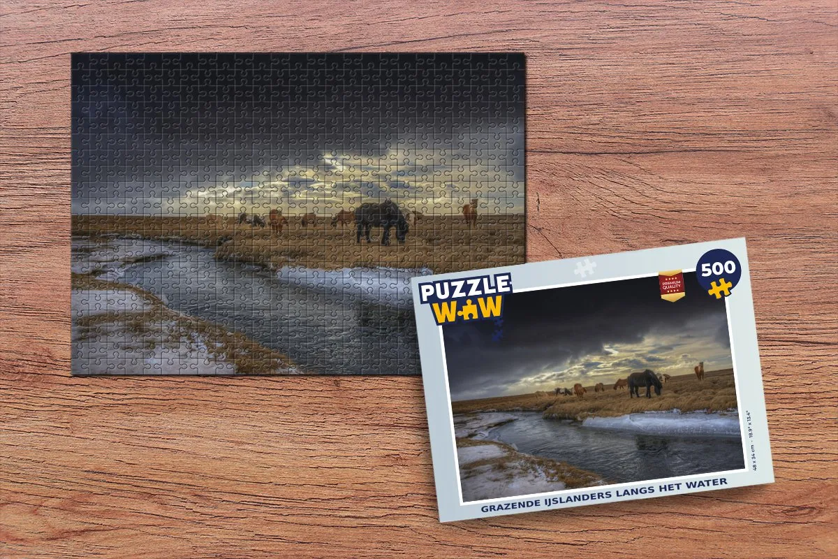 PuzzleWow Paarden IJs Gras Legpuzzel 500 Stuks - Multicolor
