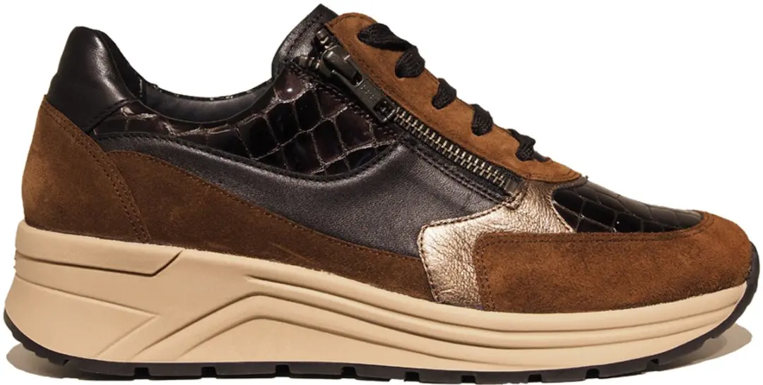 Solidus 59083 Bruin