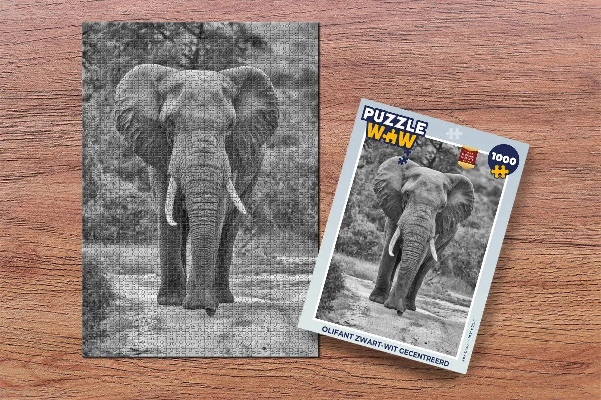 PuzzleWow Legpuzzel Olifant 1000 Stuks - Multicolor