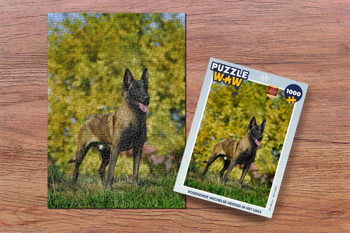 PuzzleWow Legpuzzel Mechelse Herder 1000 Stuks - Multicolor
